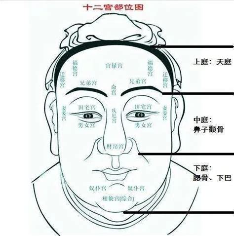 富贵面相男|面相学：男人的十种富贵面相特征